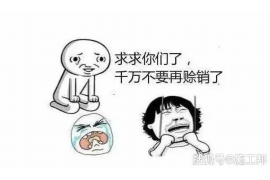 汕尾企业清欠服务